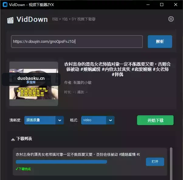 VidDown视频下载器 可下载B站/抖音/油管视频 界面截图