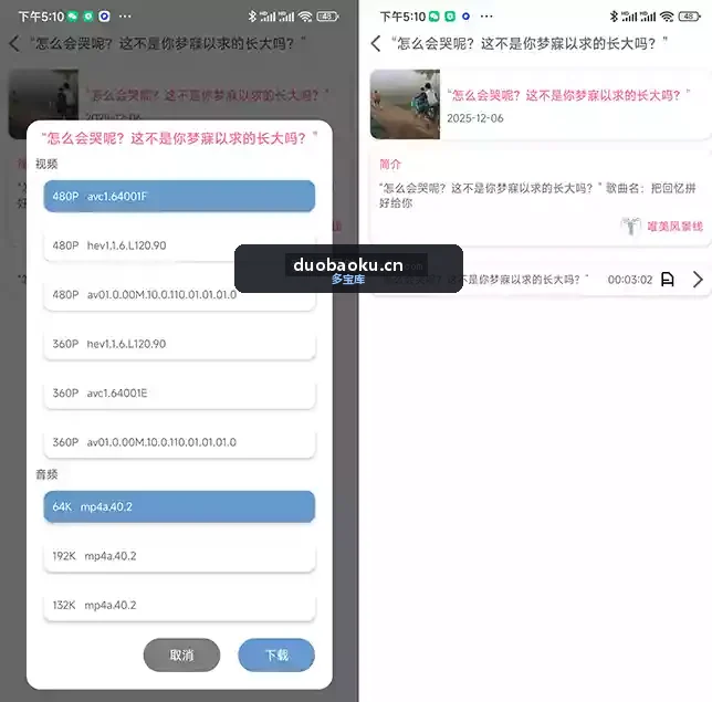 BVD 哔哩哔哩下载器v2.3.0 支持登录后下载 界面截图