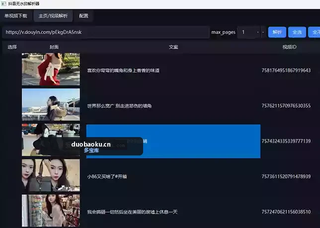 抖音无水印视频下载器 支持单个和主页批量下载 界面截图