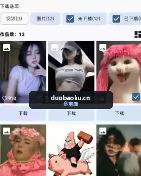 红下载v1.5.1 可下载各平台无水印视频 界面截图