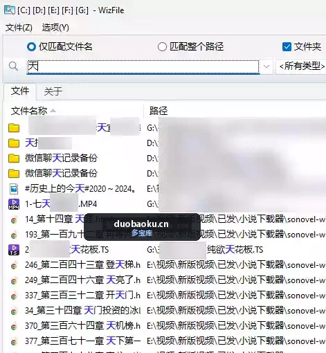 WizFile_v3.15 Windows文件搜索工具 搜索速度超快 界面截图
