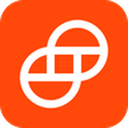 Gemini api